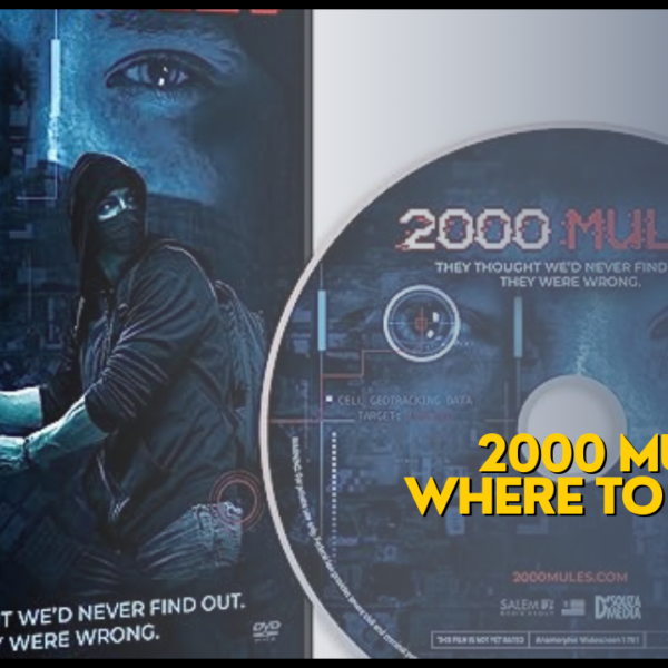 2000 Mules: Where to Watch