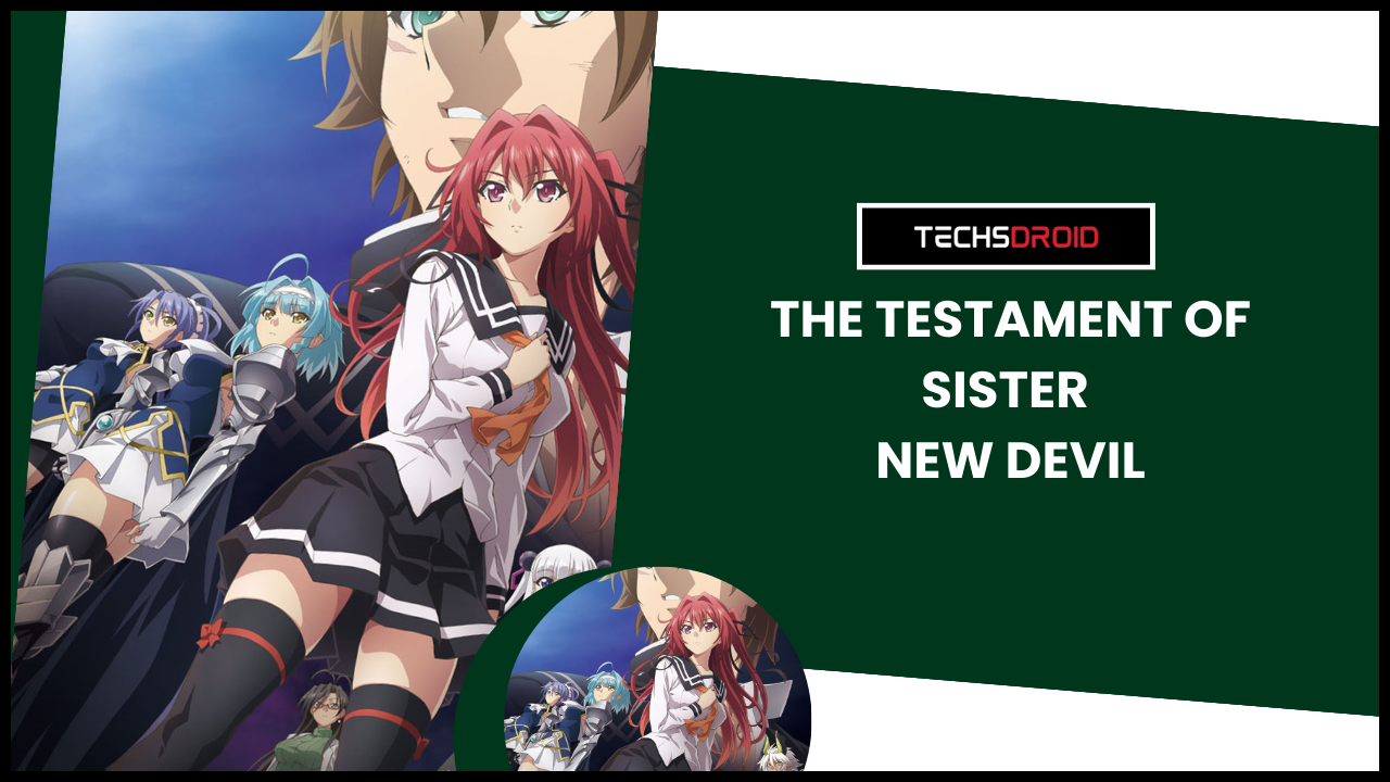 The Testament of Sister New Devil