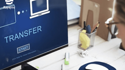 Raysync’s Strategies for High-Performance Bulk File Transfer 